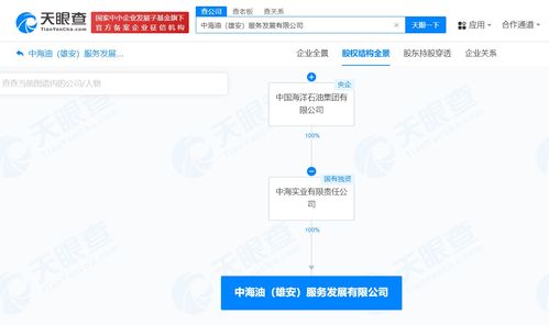 中國海油在雄安成立服務發展公司，注冊資本1億聚焦網絡技術服務
